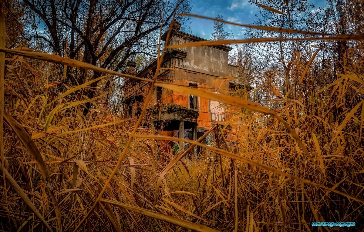 ...Когда-то был в 30-х.! - Павел Курков