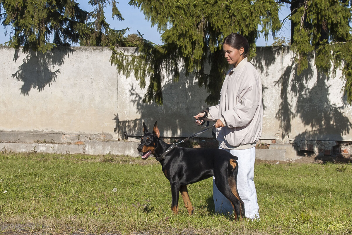 ... - Елена Пономарева