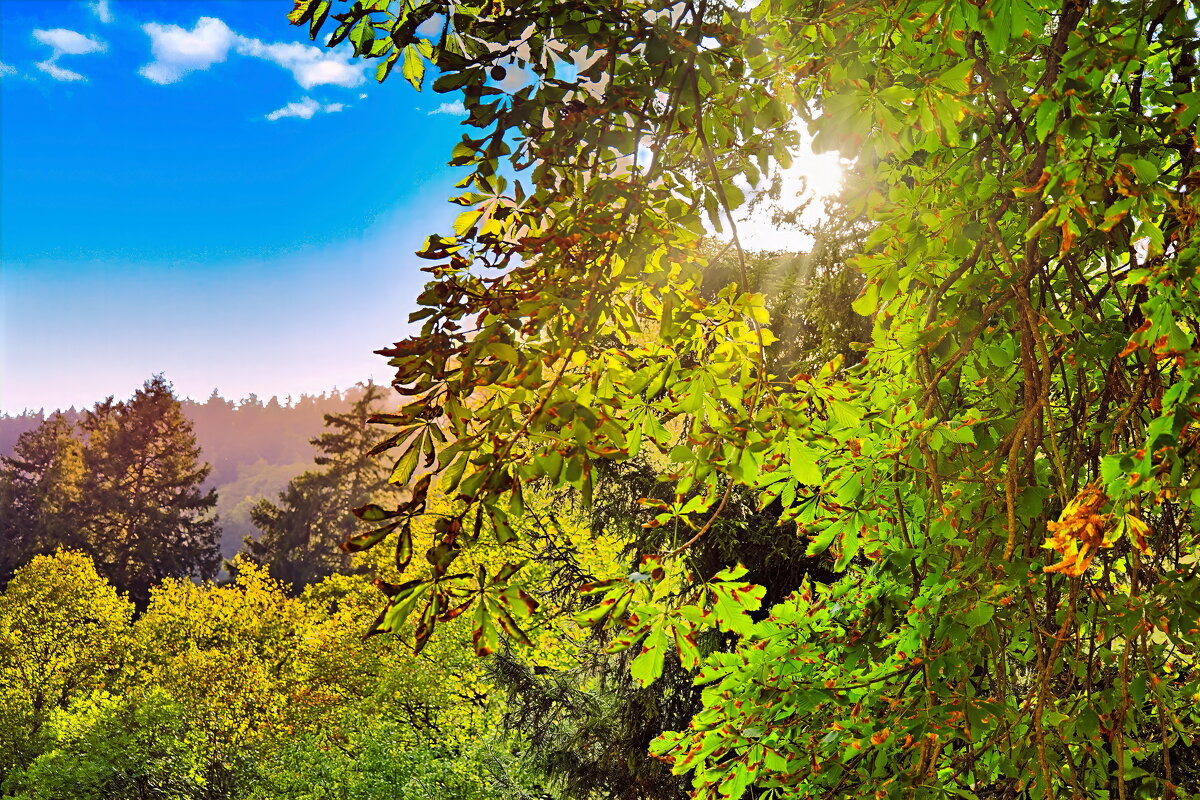 Летнее утро - Sergey Grim