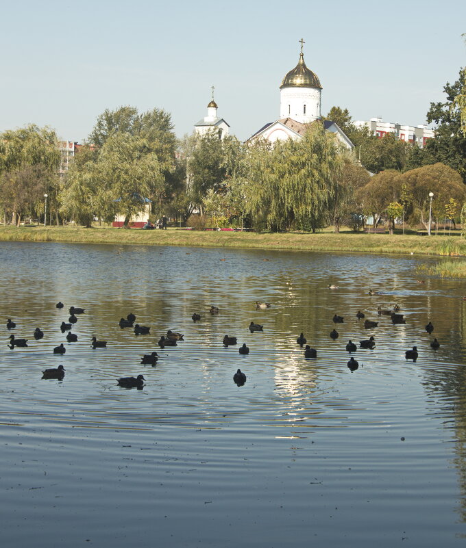 на озере - Владимир Зырянов