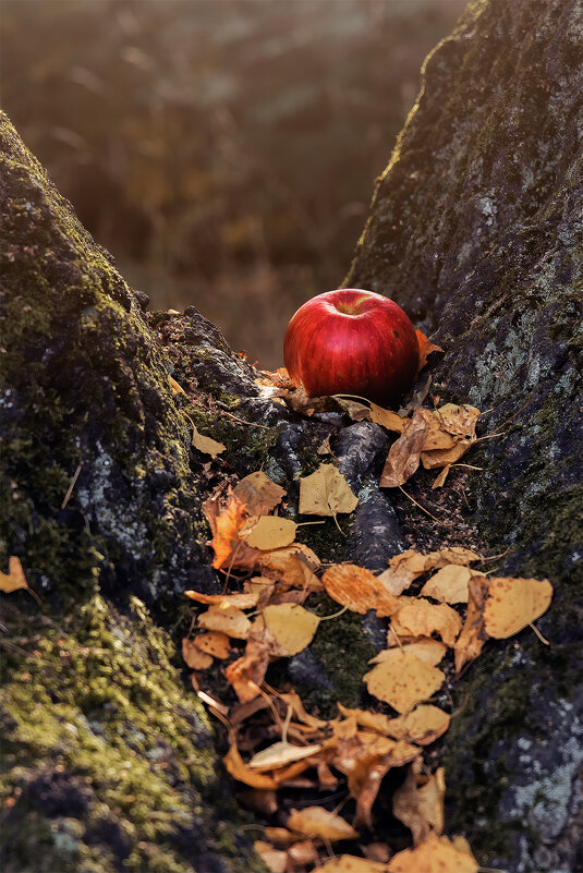 с яблоком - Michel 