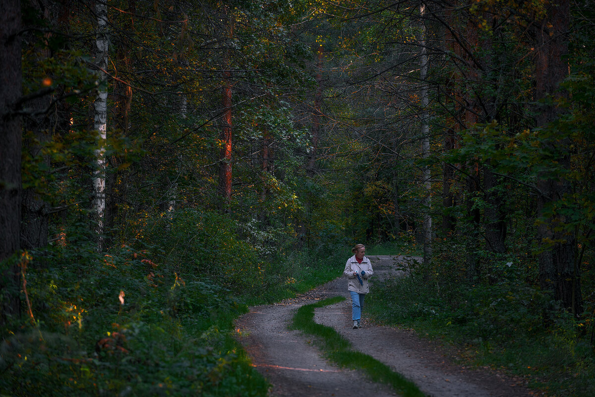Дорога в лесу... - Влад Никишин