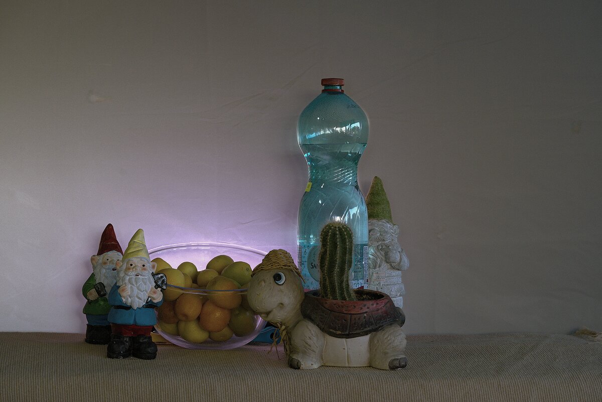 Собрал с дерева в переди  дома2025г - ujgcvbif 