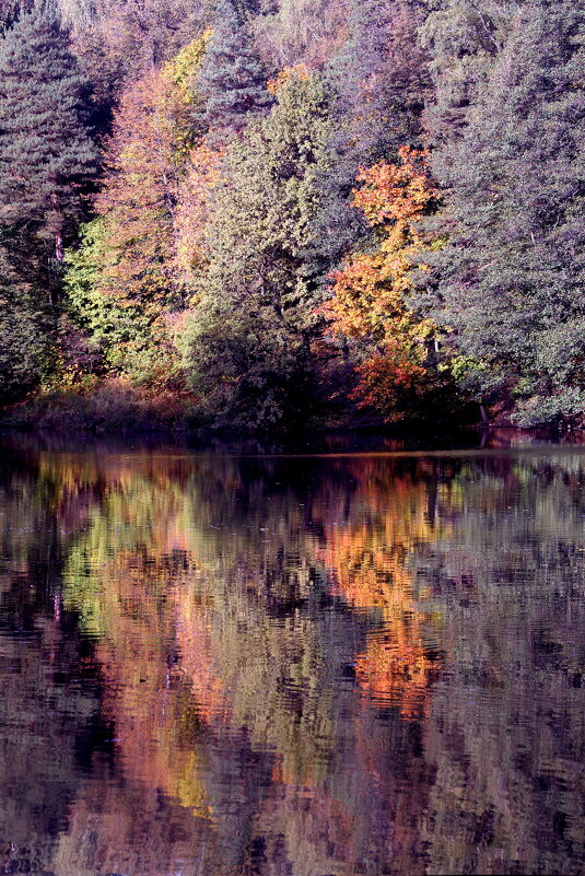 Царицыно 2 октября - Михаил Бибичков