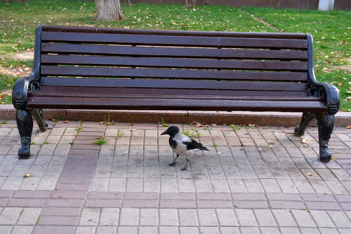 ... - Лютый Дровосек