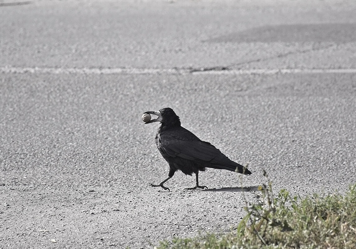 Не мешать! - Валентина  Нефёдова 