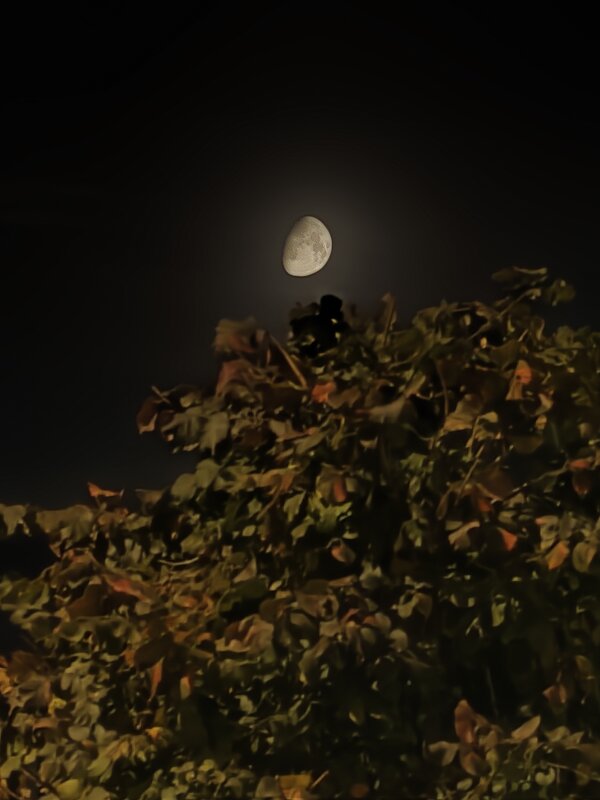 Вечер - Андрей 