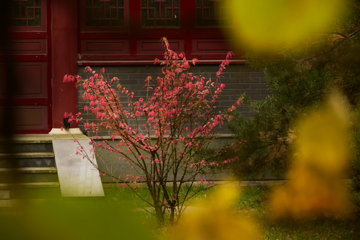 Парк - Мария Яковлева