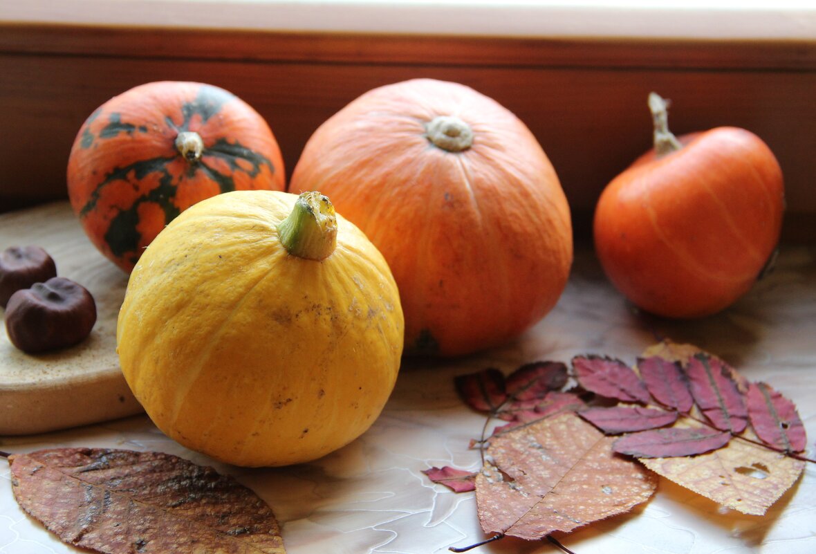 Октябрь - Венера Чуйкова