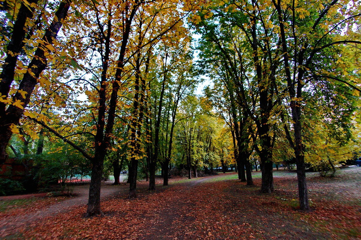 Осень в городе... - Николай Саржанов Осень в городе... - Николай Саржанов