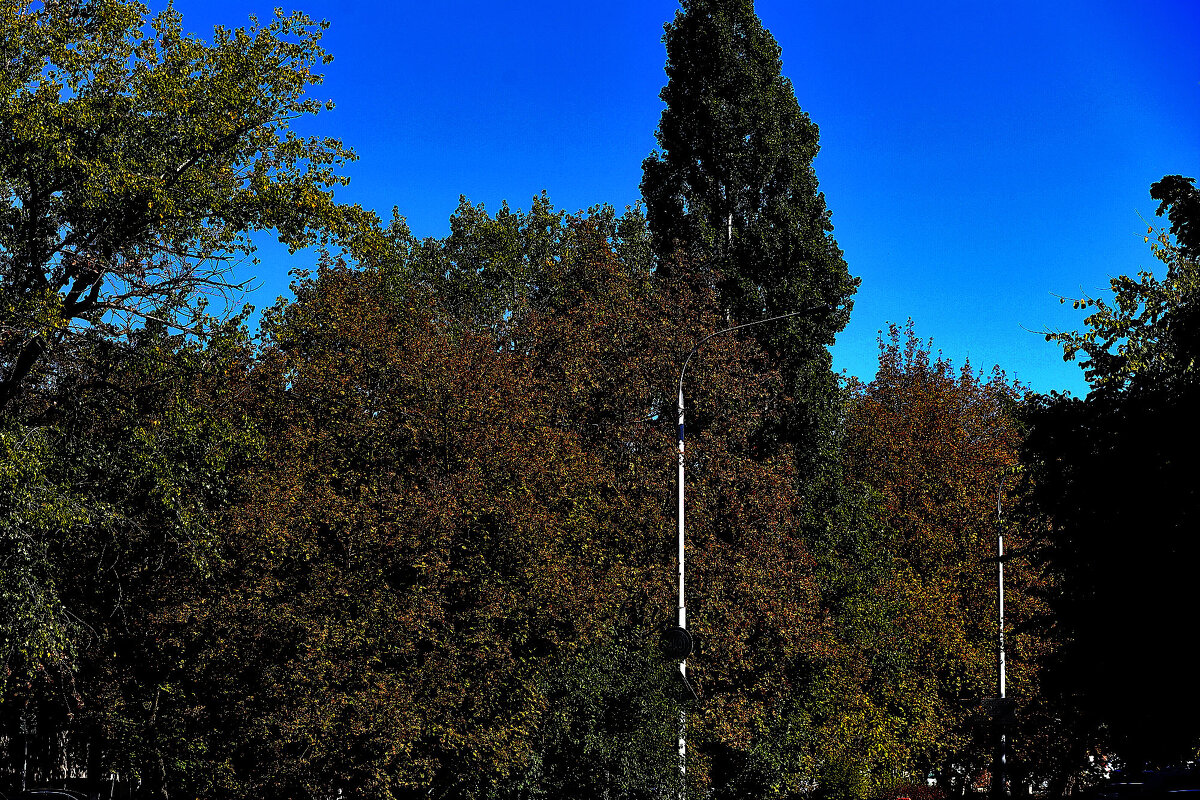 Солнечно! - Юрий Гайворонскiий