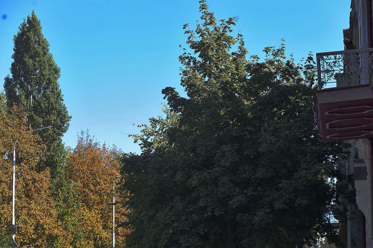 Хороший день - Юрий Гайворонскiий