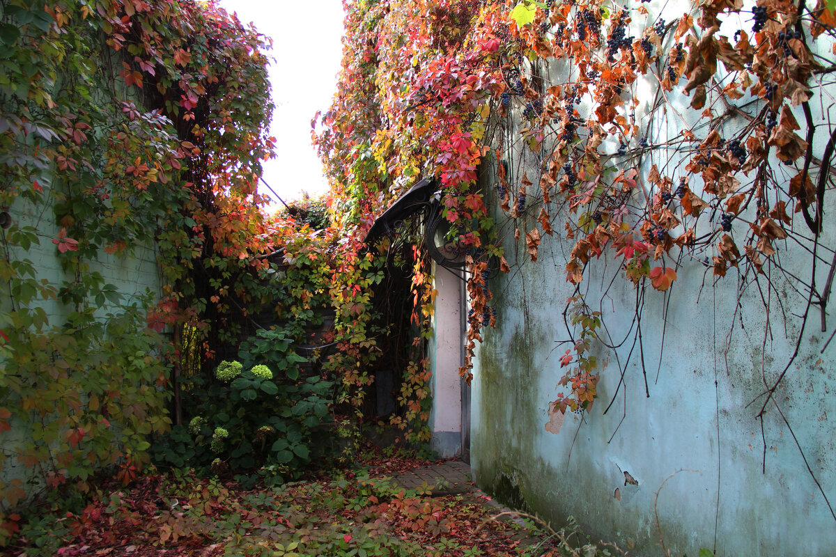 . - РИТА ЛЕВКОВА