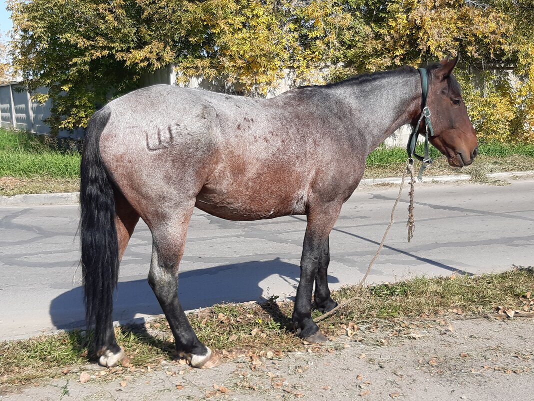 Фотомодель с тату - Галина Минчук
