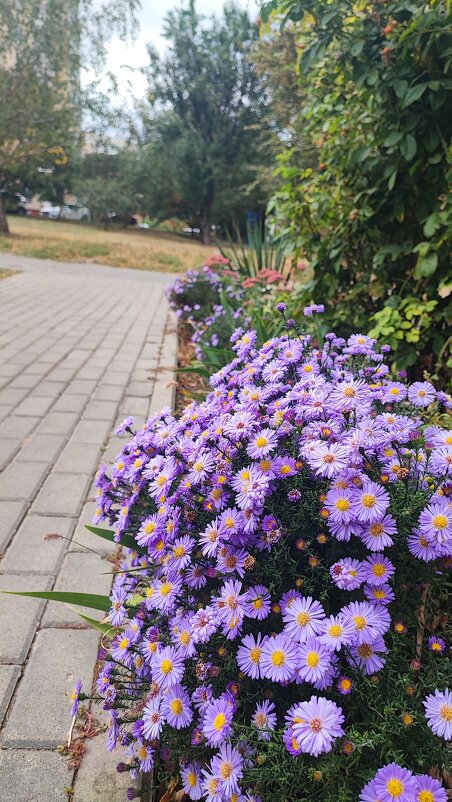 ,,, - Сергей Тимоновский