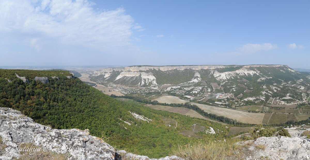 Природа Крыма - Amazing Cosmea Природа Крыма - Amazing Cosmea