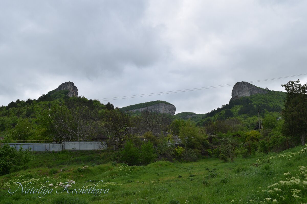 Природа Крыма - Amazing Cosmea