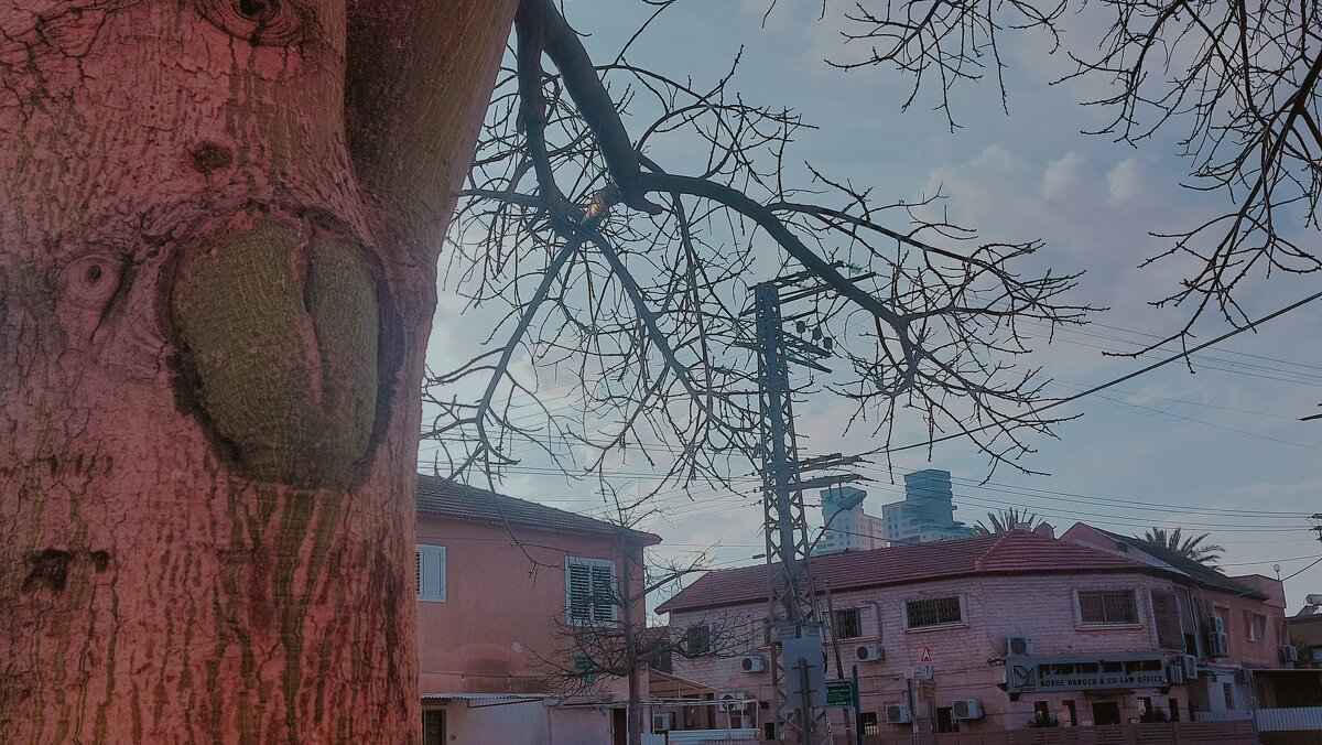 13  ОПЕН (453) - OPEN WAYS ALL