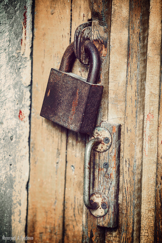 Из серии "Все ушли" - Алексей Трифонов