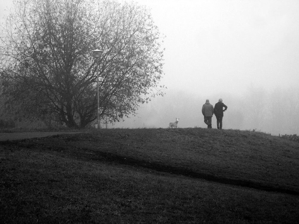 Утро туманное. - Борис Бутцев Утро туманное. - Борис Бутцев