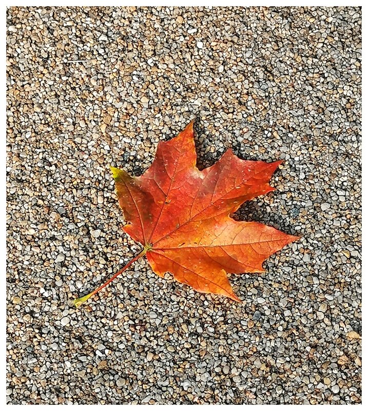 Осенний постер - Любимова Ольга 