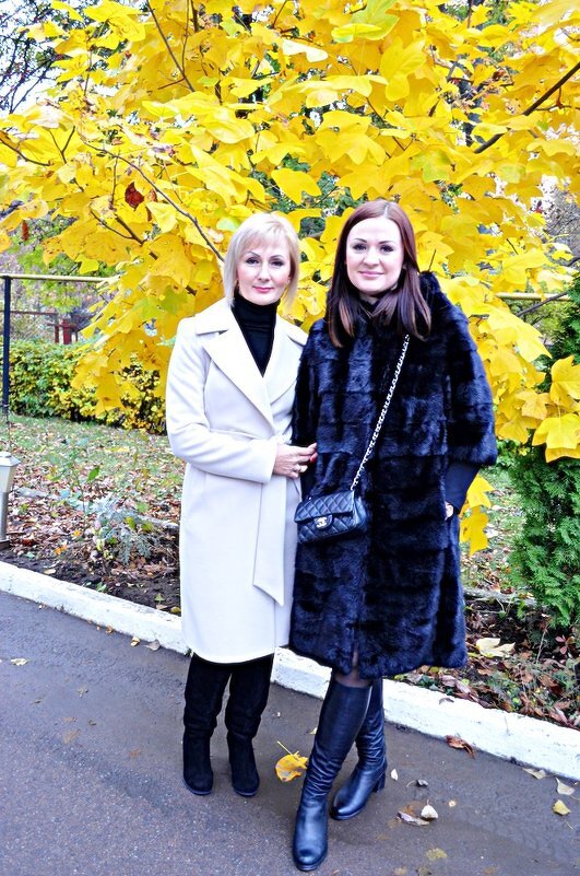 Осінній настрій - Степан Карачко