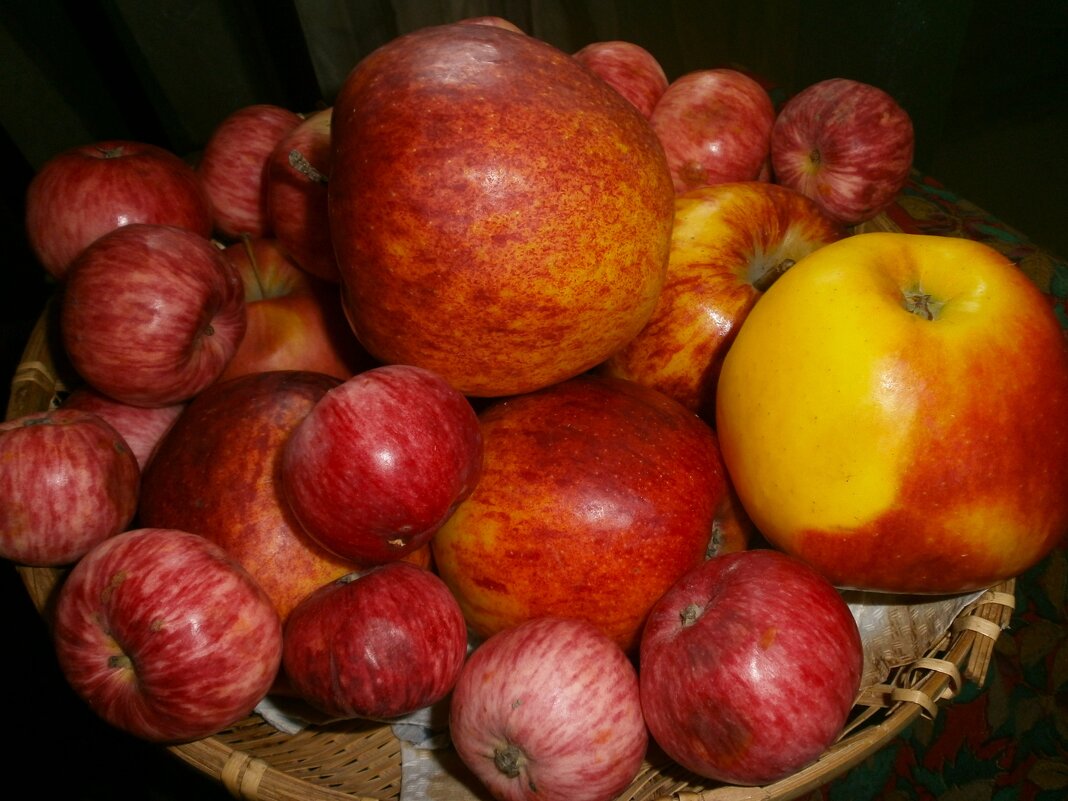 Ябло(ч)ки - Алёна Савина