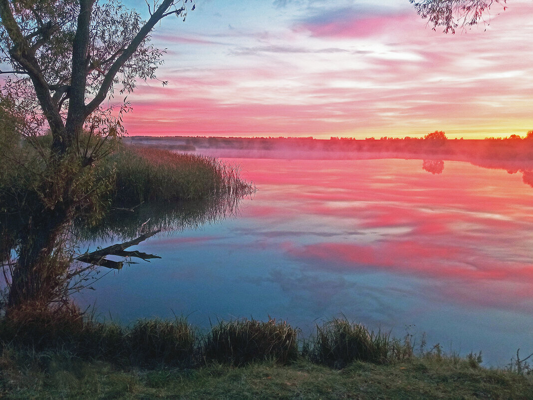 Алая заря. - Евгений Кузнецов