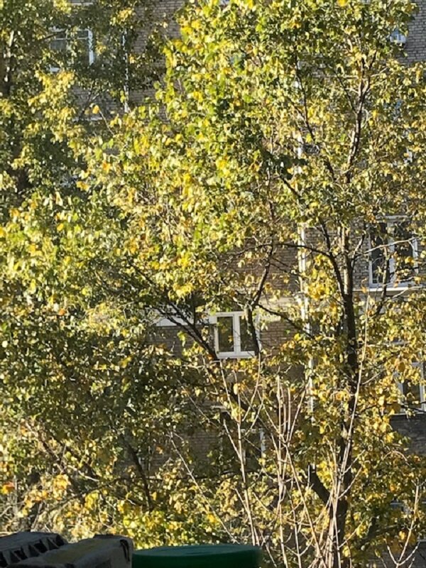 Последний солнечный денёчек.... - Татьяна Юрасова