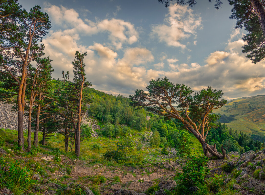 *** - Аnatoly Gaponenko *** - Аnatoly Gaponenko