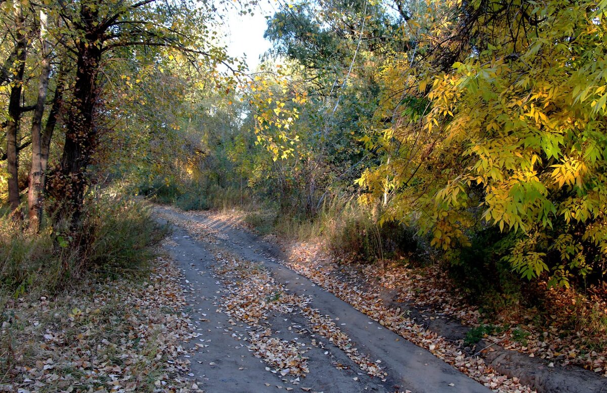 Октябрь - Олегъ Петрович