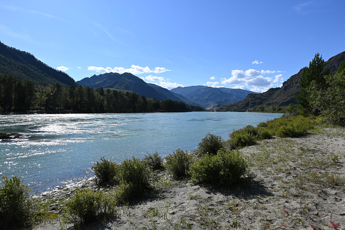 Катунь-спокойное течение - Валерий Медведев