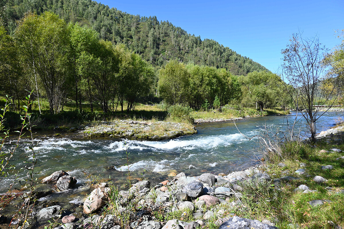 Горная река - Валерий Медведев