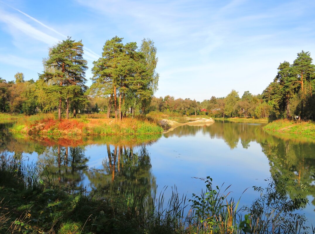 Осенним утром на пруду - Андрей Снегерёв