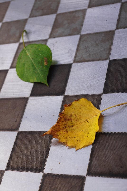 Ничья - Наталия Григорьева