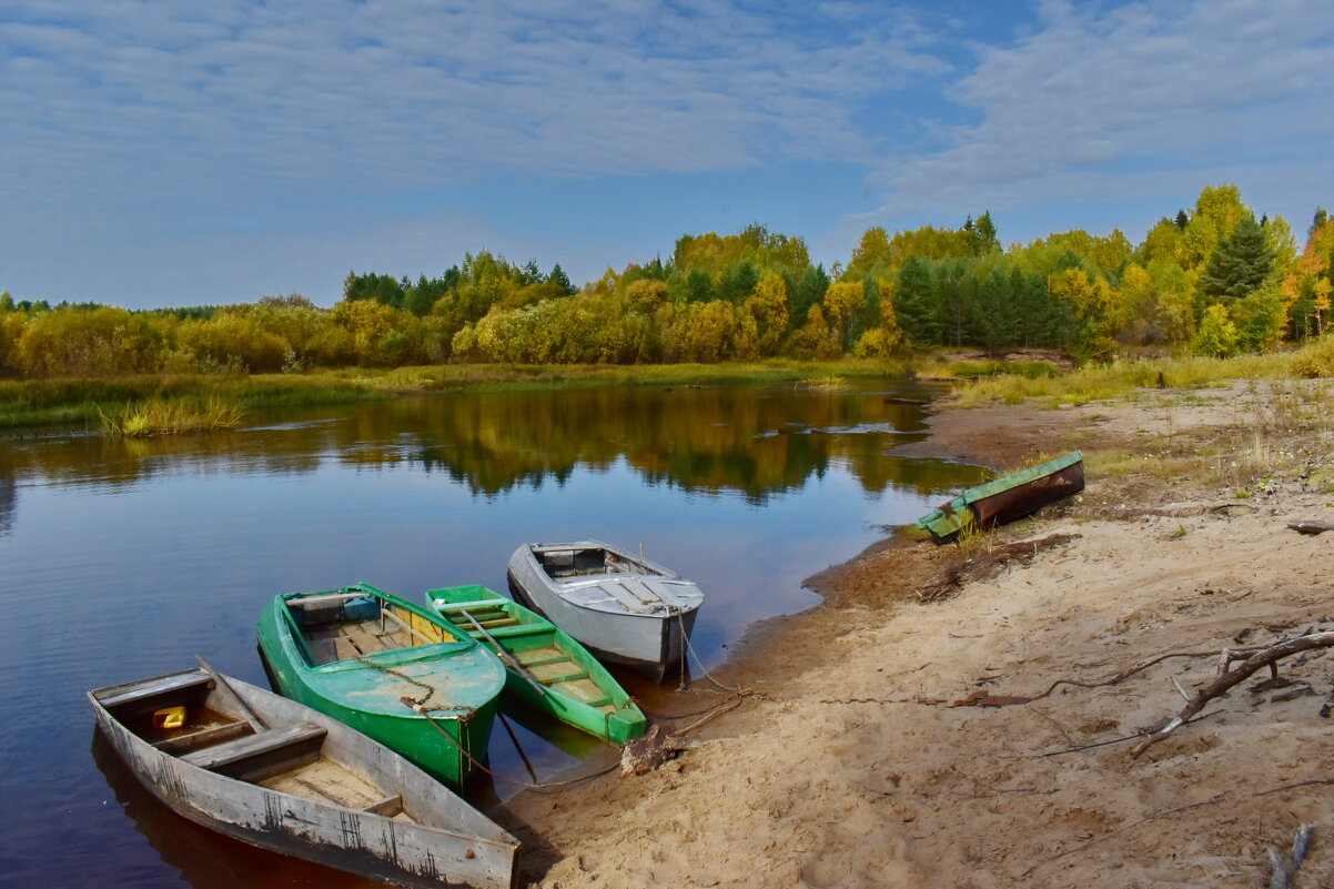 На берегу Лолога - Роман Пацкевич