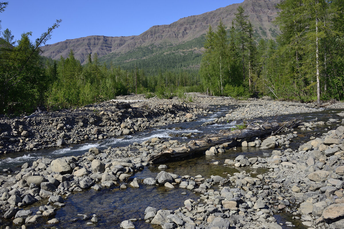 *** - Александр Хаецкий *** - Александр Хаецкий