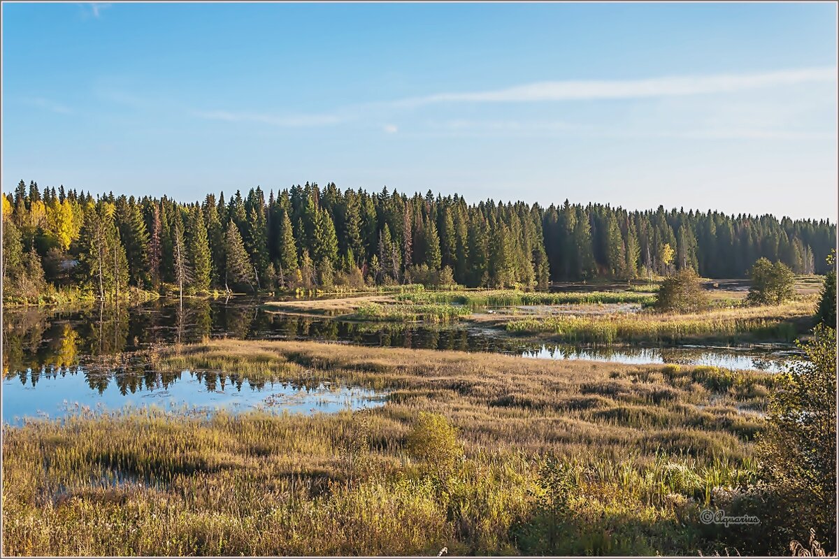 Про сентябрь - Aquarius - Сергей