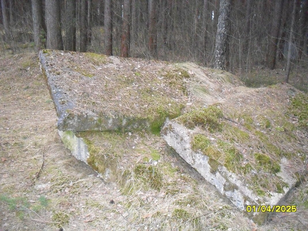 Плиты - fogmeadowww m