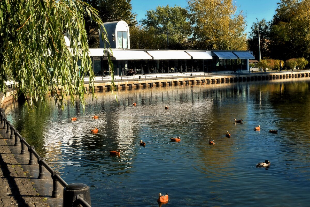 Ресторан «АльмаМоре» на берегу пруда. - Татьяна Помогалова