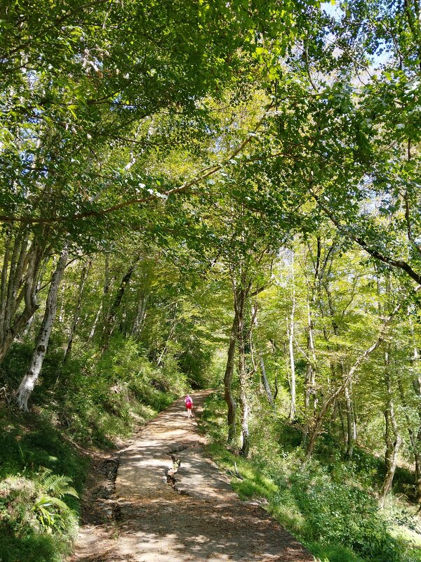 Министерские озёра - Tata Wolf