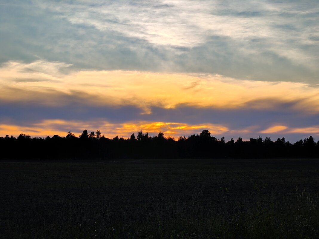 у д.Выскодь - Артем 