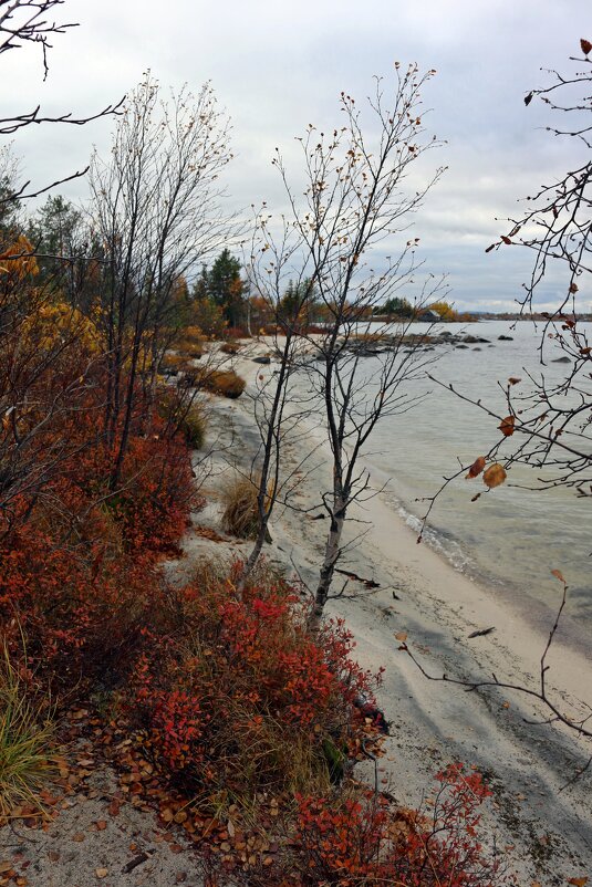 Берег Имандры - Ольга 