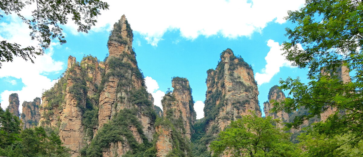 АВАТАР - Andrey Bragin 