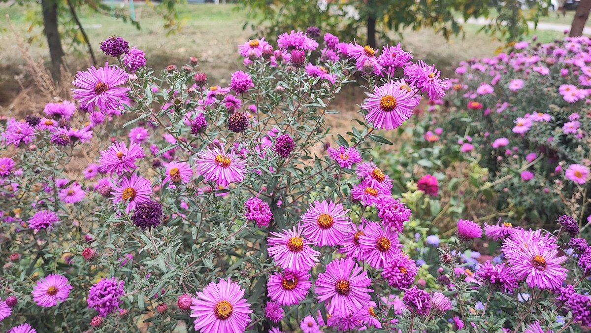 ,,, - Сергей Тимоновский