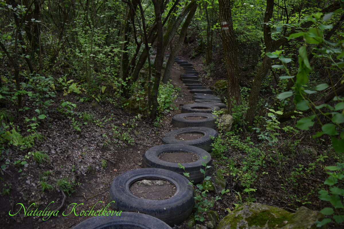 Природа Крыма - Amazing Cosmea