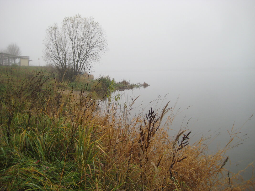 Осень. - Борис Бутцев
