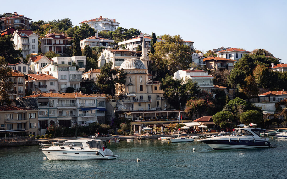 Один из 9 островов (Принцевы острова) - Лилия .