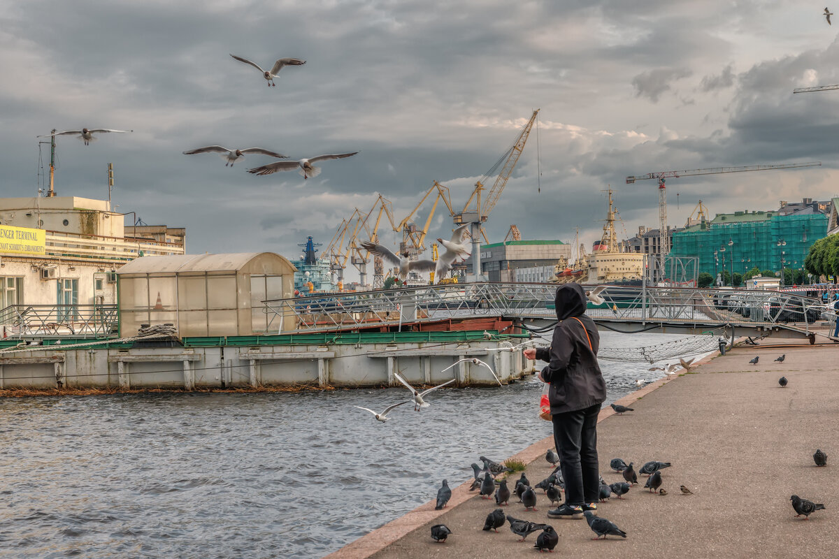 Про Питер - Владимир Колесников