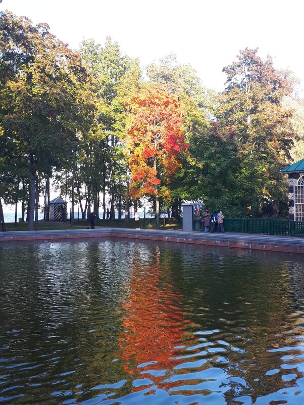 ... - Надежда 